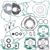 Complete Gasket Kit with Oil Seals WINDEROSA CGKOS 811308