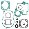 Complete Gasket Kit with Oil Seals WINDEROSA CGKOS 811314