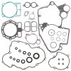 Complete Gasket Kit with Oil Seals WINDEROSA CGKOS 811317