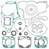 Complete Gasket Kit with Oil Seals WINDEROSA CGKOS 811326