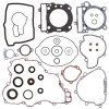 Complete Gasket Kit with Oil Seals WINDEROSA CGKOS 811328