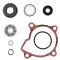 Water Pump Rebuild Kit WINDEROSA