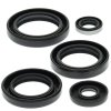 Engine Oil Seal Kit WINDEROSA EOSK 822213