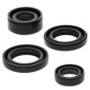 Engine Oil Seal Kit WINDEROSA EOSK 822214