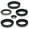 Engine Oil Seal Kit WINDEROSA EOSK 822215