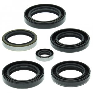 Engine Oil Seal Kit WINDEROSA