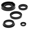 Engine Oil Seal Kit WINDEROSA EOSK 822217