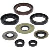 Engine Oil Seal Kit WINDEROSA EOSK 822218