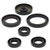 Engine Oil Seal Kit WINDEROSA EOSK 822229