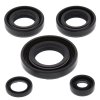 Engine Oil Seal Kit WINDEROSA EOSK 822230