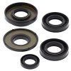 Engine Oil Seal Kit WINDEROSA EOSK 822231