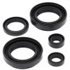 Engine Oil Seal Kit WINDEROSA EOSK 822234