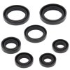 Engine Oil Seal Kit WINDEROSA EOSK 822236