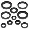 Engine Oil Seal Kit WINDEROSA EOSK 822237