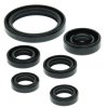 Engine Oil Seal Kit WINDEROSA EOSK 822238