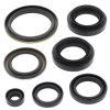 Engine Oil Seal Kit WINDEROSA EOSK 822239