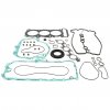 Complete gasket kit with oil seals WINDEROSA CGKOS 711319A