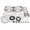 Complete gasket kit with oil seals WINDEROSA CGKOS 711331