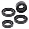 Engine Oil Seal Kit WINDEROSA EOSK 822212