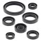 Engine Oil Seal Kit WINDEROSA