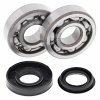 Crankshaft bearing kit All Balls Racing CB24-1095