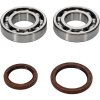 Crankshaft bearing kit All Balls Racing CB24-1123