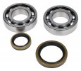 Crankshaft bearing kit All Balls Racing CB24-1129