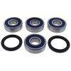 Wheel Bearing Kit All Balls Racing WB25-1763 spate