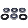 Wheel Bearing Kit All Balls Racing WB25-1777 fata