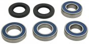 Wheel Bearing Kit All Balls Racing WB25-1807 spate