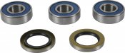 Wheel Bearing Kit All Balls Racing WB25-1813 spate