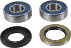 Wheel Bearing Kit All Balls Racing WB25-1815 fata