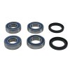 Wheel Bearing Kit All Balls Racing WB25-1818 spate