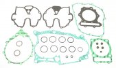 Kit complet ganituri motor ATHENA P400210850610/1