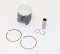 Kit piston forjat ATHENA d 66,36 - 2 rings