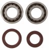 Main bearing & seal kits HOT RODS K092