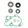 Water pump gasket kit ATHENA P400210348085 + bearings