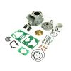 Kit cilindru ATHENA P400485100077 Big bore d 53mm, 105,46 cc /wutg exgazst valve kit and modular head)