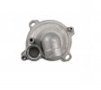 Complete water pump RMS 100110650