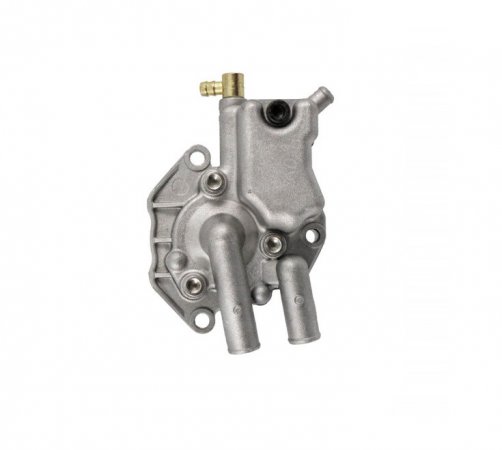 Complete water pump RMS 100110660