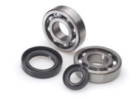 All Balls crankshaft  bearings